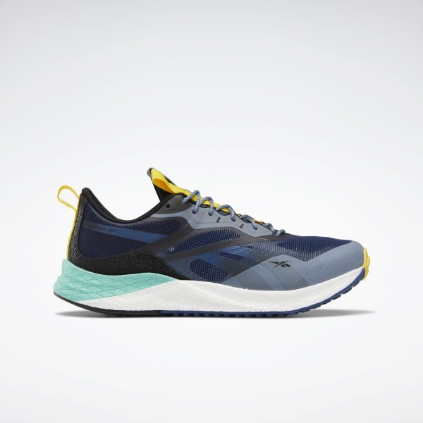 Кроссовки Reebok Floatride Energy Adventure X National Geographic (GW8521) синего цвета