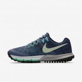 Женские беговые кроссовки Nike Air Zoom Terra Kiger 4 (880564-400)