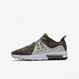 Беговые кроссовки для школьников Nike Air Max Sequent 3 (922884-300)