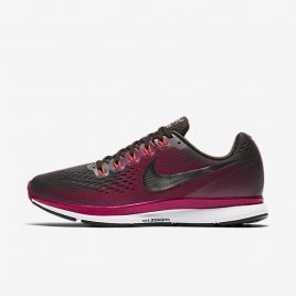 Женские беговые кроссовки Nike Air Zoom Pegasus 34 Gem (AH7949-200)