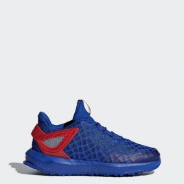 Кроссовки для бега Spider-Man RapidaRun adidas Performance (CQ0117_00)
