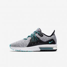 Nike Air Max Sequent 3 (922884-100)