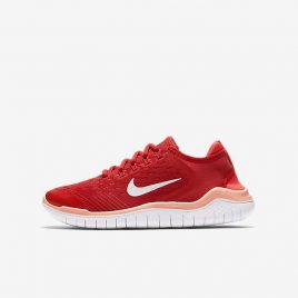 Nike Free RN 2018 (AH3451-600)