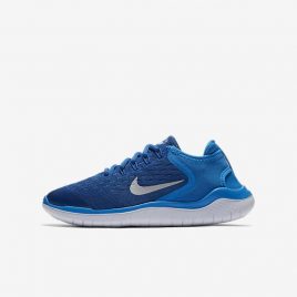 Nike Free RN 2018 (AH3451-401)