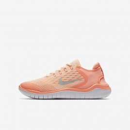 Nike Free RN 2018 (AH3457-800)