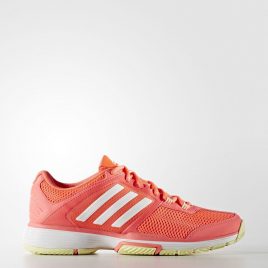 Barricade 5 adidas Performance (AQ2393)
