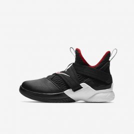 LeBron Soldier XII (AA1352-001)