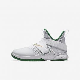 LeBron Soldier XII (AA1352-100)