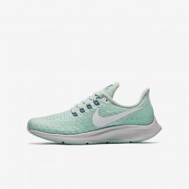 Nike Air Zoom Pegasus 35 (AH3481-300)