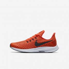 Nike Air Zoom Pegasus 35 (AH3482-600)