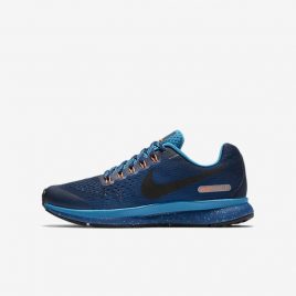 Nike Air Zoom Pegasus 34 Shield (922850-400)