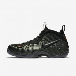 Nike Air Foamposite Pro (624041-304)