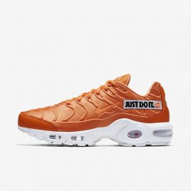 Nike Air Max Plus SE (862201-800)