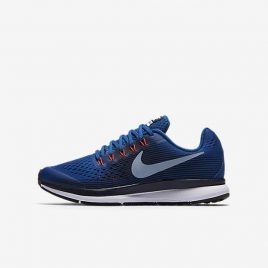 Nike Zoom Pegasus 34 (881953-401)
