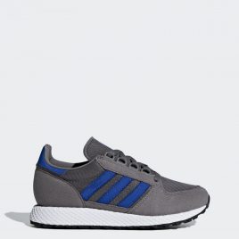 Forest Grove adidas Originals (AQ1791)
