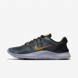 Nike Flex RN 2018 (AA7408-008)