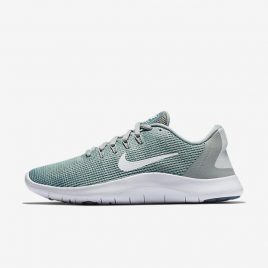 Nike Flex RN 2018 (AA7408-301)
