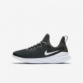 Nike Renew Rival (AH3469-001)