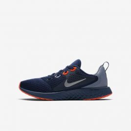 Nike Legend React (AH9437-401)
