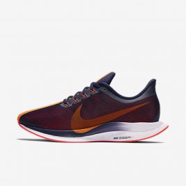 Nike Zoom Pegasus Turbo (AJ4115-486)