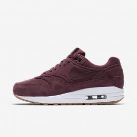Nike Air Max 1 SE (BV0313-600)