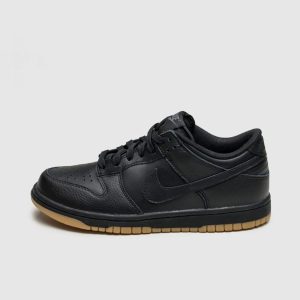 Nike SB Dunk Low Women's (311369001)