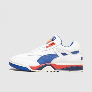 Puma (36958701)