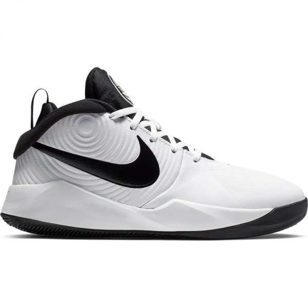 Баскетбольные кроссовки для школьников Nike Team Hustle D 9 (AQ4224-100)