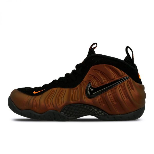 Nike  Air Foamposite Pro (624041-800)