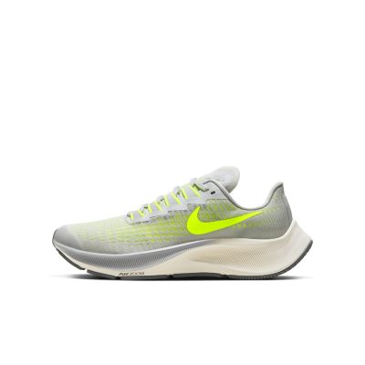 Nike Air Zoom Pegasus 37 