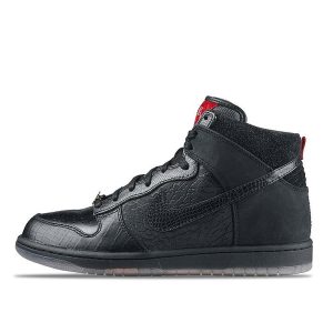 Nike Dunk High Mighty Crown (503766-001)