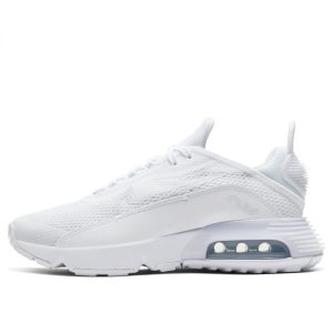 Nike Air Max 2090 (GS) (CJ4066-102)