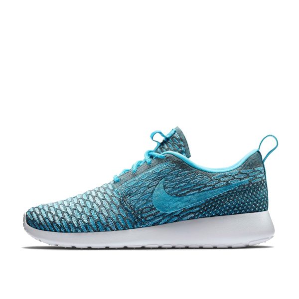 Nike Nike WMNS Flyknit Roshe Run Clearwater (704927-003)