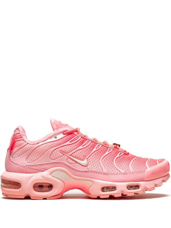 Air Max Plus (DH0155600)