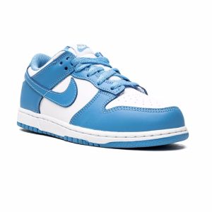 Nike Kids  Dunk Low (CW1588103)