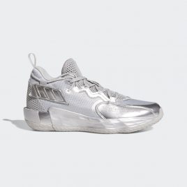 Кроссовки adidas Dame 7 Extply (FZ0172) серебрянного цвета