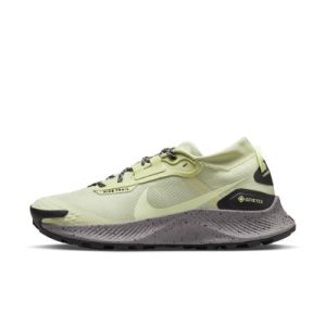 Nike Pegasus Trail 3 GORETEX   (DC8794-301)