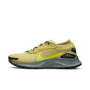 Nike Pegasus Trail 3 GORETEX   (DC8793-300)