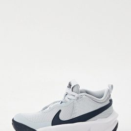Кроссовки Nike Team Hustle D 10 Gs (CW6735) серого цвета