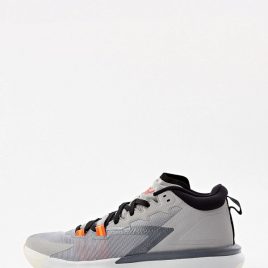 Кроссовки Jordan Jordan Zion 1 (DA3130) серого цвета