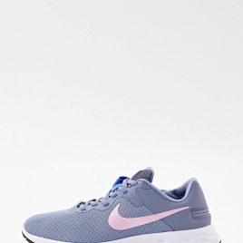 Кроссовки Nike W Nike Revolution 6 Flyease Nn (DC8997) голубого цвета