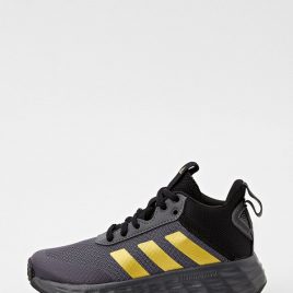 Кроссовки adidas Ownthegame 20 K (GZ3381) серого цвета
