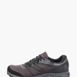 Кроссовки Salomon Trailster 2 Gtx (L40963100) серого цвета
