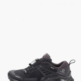 Кроссовки Salomon X Raise Gtx (L40973700) черного цвета