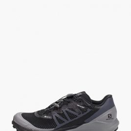Кроссовки Salomon Sense Ride 4 Invisible Gtx (L41307100) черного цвета