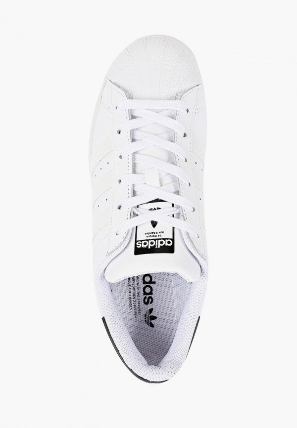 Кеды adidas Originals Superstar (FV2813) белого цвета