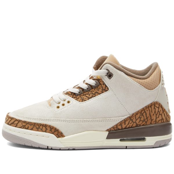 Air Jordan 3 Retro BG (DM0967-102) коричневого цвета