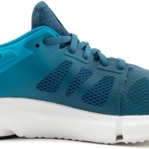 Salomon Shoes Predict2 (L41565300) синего цвета