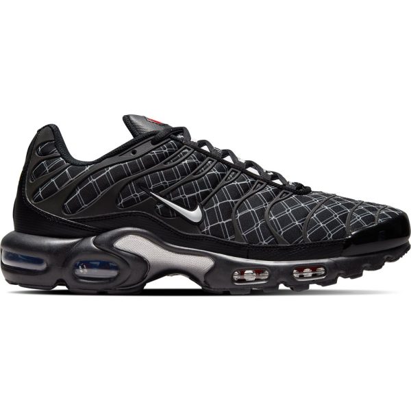 Nike TN Air Max Plus (DV3194-001)  цвета