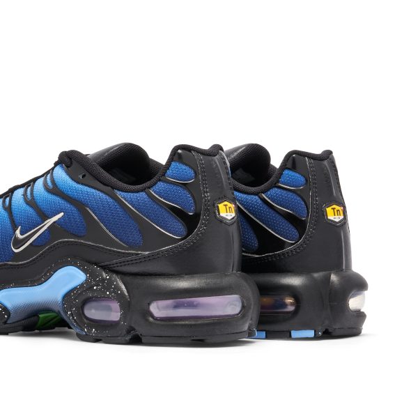 Nike TN Air Max Plus Blue (DV3493-001) голубого цвета